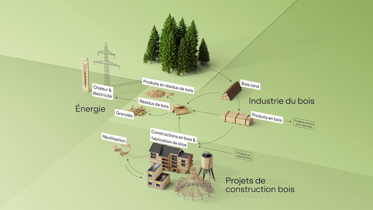 comment construire de manière durable en utilisant le bois comme matériau principal