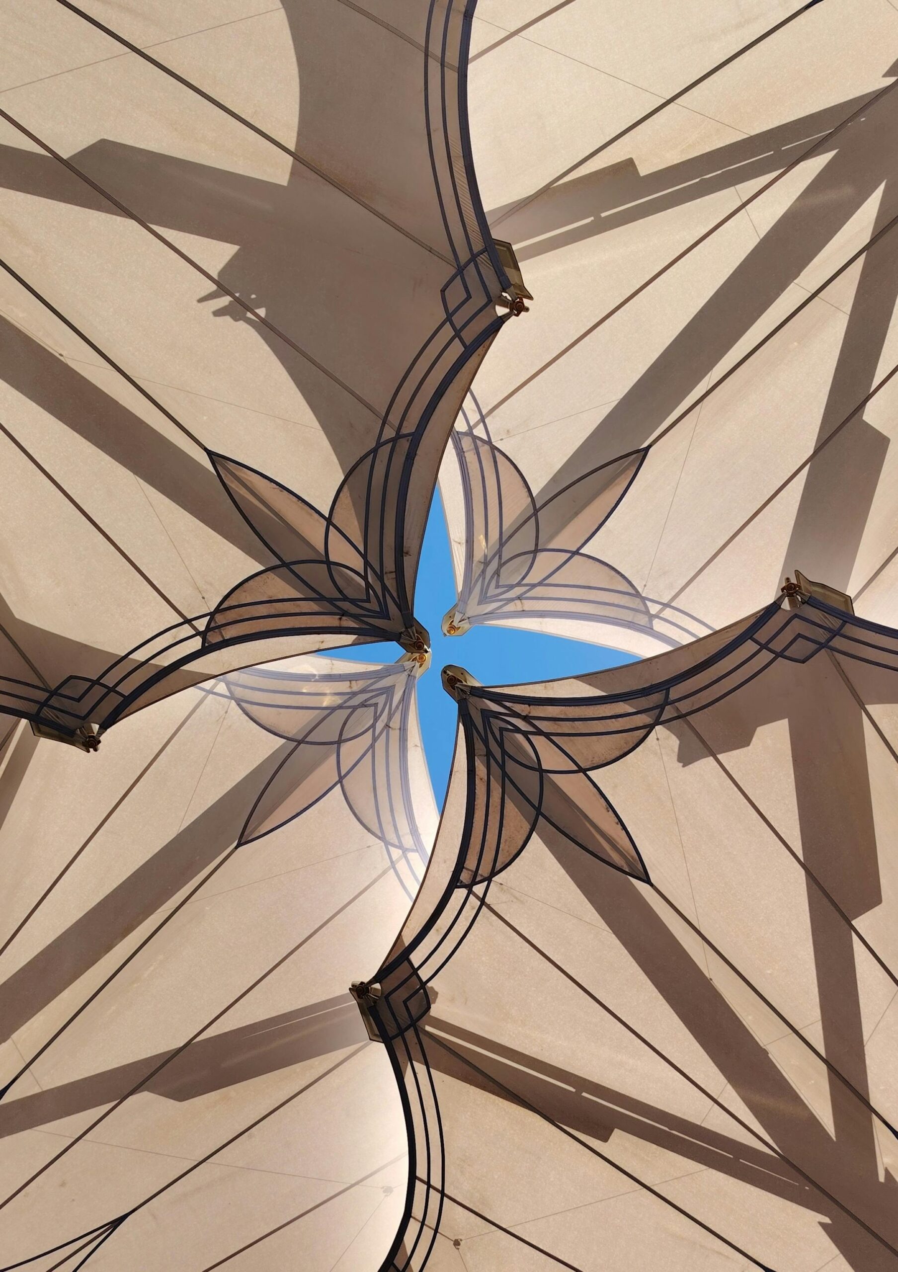 pexels saad alkot 419901137 31958917